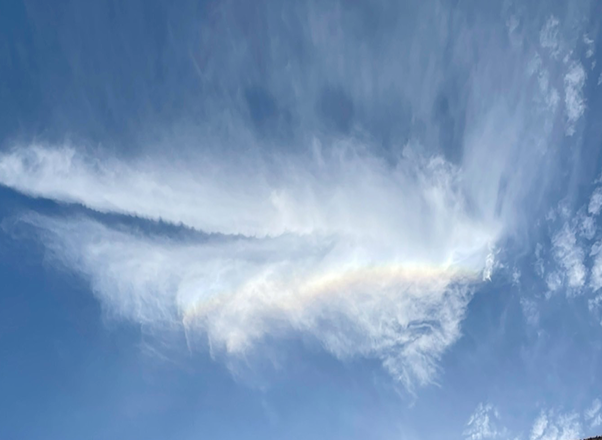 女神覚醒羽化ヨガ®インストラクターコース